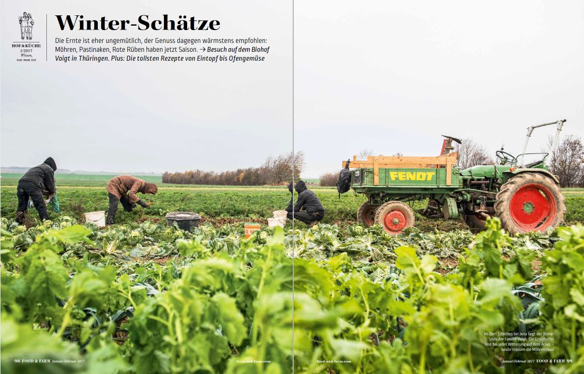 Artikel 10