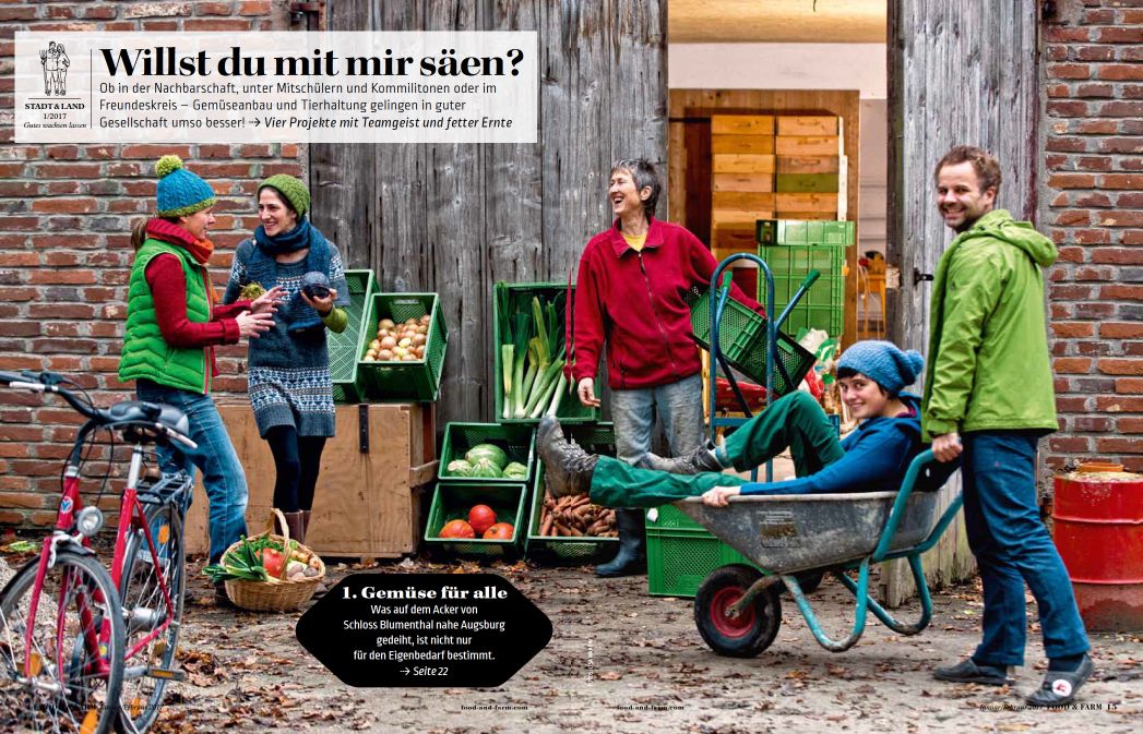 Artikel 13