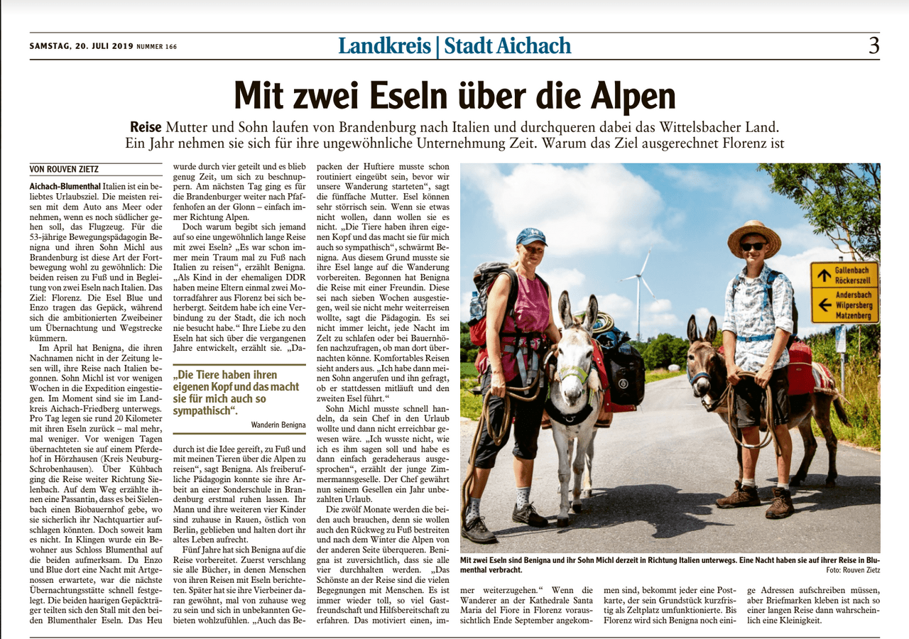 Artikel 8